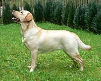 Bella ex Chelsea 25.06.2005