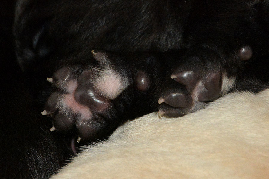 M-ll-Wurf   15.02.2020