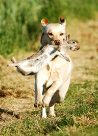 Bella ex Chelsea 13.06.2005