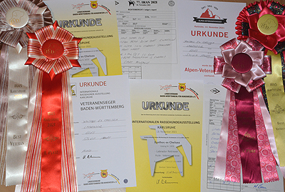 CACIB Karlsruhe 2021