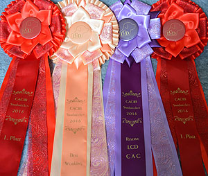 CACIB Saarbrücken 2016