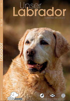 LCD-CZ Diva ex Chelsea