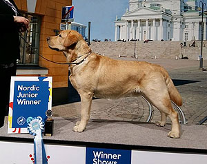 Nordic Junior Winner 2017