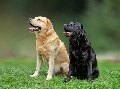 Finale + Juneau 03.09.2024