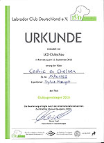 Urkunde LCD-CJS 2016