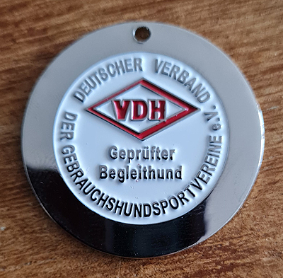 BHP Laurino ex Chelsea