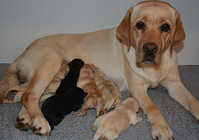 O-ll-Wurf 01.09.2020