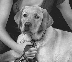 Osiris ex Chelsea 30.05.2009 - 26.05.2010