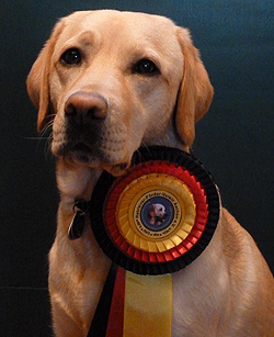 Pales ex Chelsea "Molly"