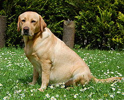 Phila: 56. Tag der Trächtigkeit