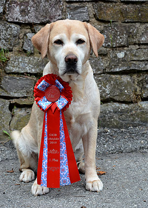 Phila ex Chelsea 2019