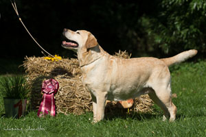 Ch. Phila ex Chelsea