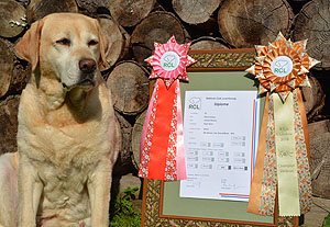 Phila ist Lux.-Vet.-Champion