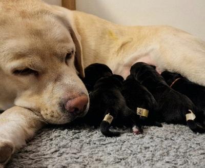 W-ll-Wurf gew. 22.02.2024