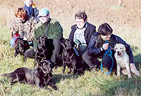 Erstes Welpentreffen Dez 2001