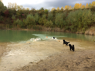 Genheimer Weiher 17.10.2021