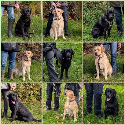 Wesenstest 19.10.2025