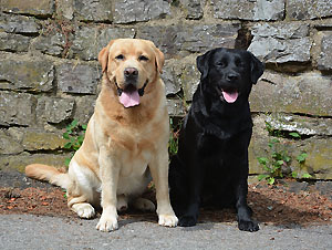 Xanthos ex Chelsea & Fiin Kultu Kimallus