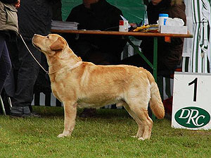 Xanthos in Friedberg 2016