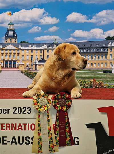 Xanthos Karlsruhe 2023