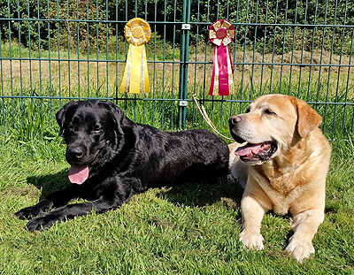 Xanthos & Laurino in Wenden 2023