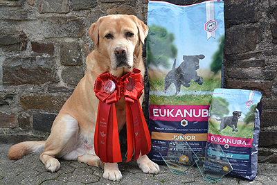 CH Xanthos ex Chelsea