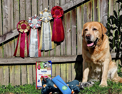 Xanthos ex Chelsea 2023