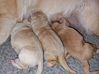 Y-ll-Wurf_26.05.2025