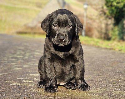 Zanzibar ex Chelsea - 21.12.2025