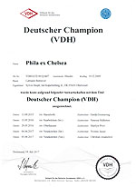 Ch. Phila ex Chelsea