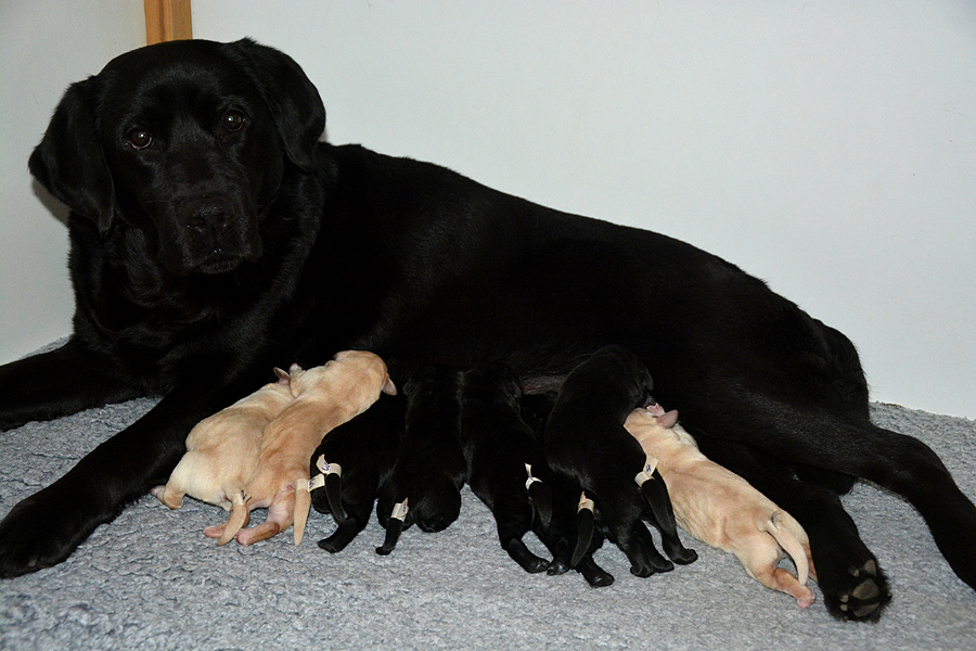 Colby mit dem Q-ll-Wurf  26.03.2021