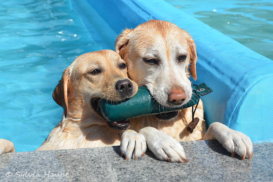 Freibad Sprendlingen