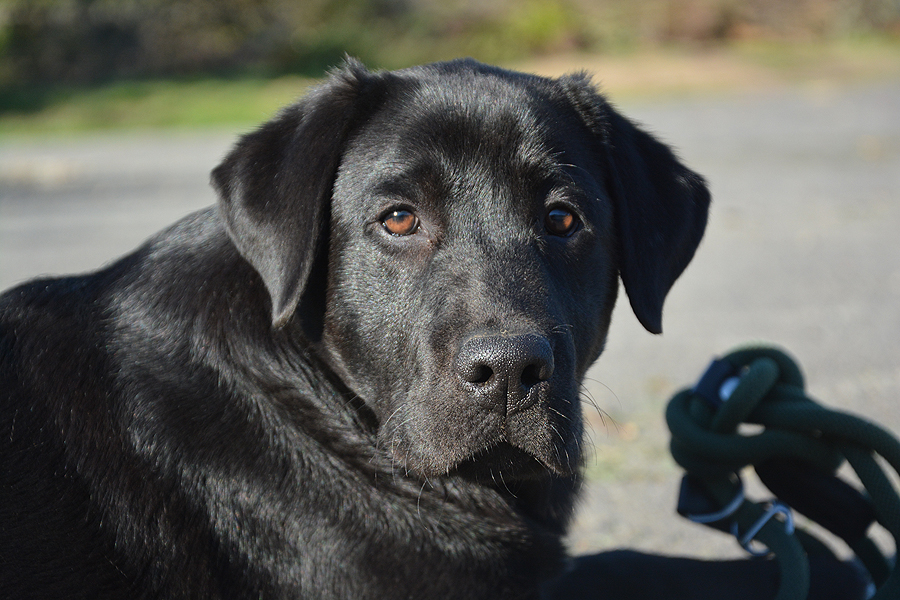 Tyler ex Chelsea - 5 Monate alt