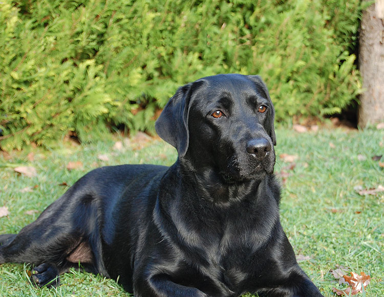 Utilitas ex Chelsea  -  14.11.2013