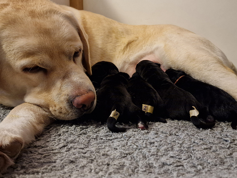 W-ll-Wurf  *  23.02.2024