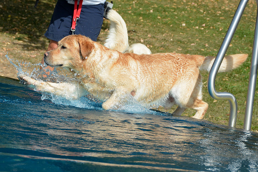 St. Goar-Werlau 20.09.2020