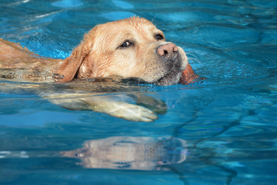 St. Goar-Werlau 20.09.2020