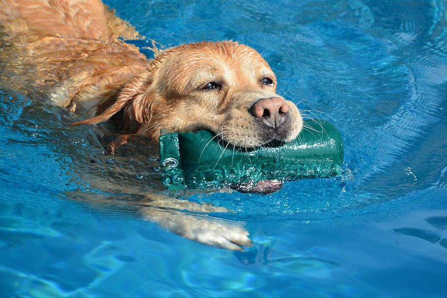 St. Goar-Werlau 20.09.2020