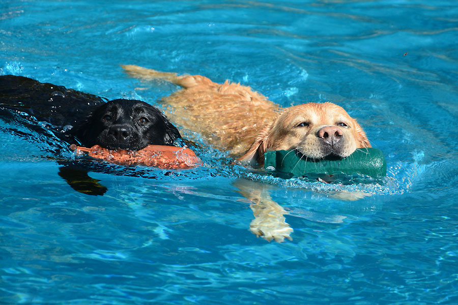 St. Goar-Werlau 20.09.2020