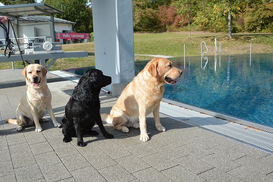 St. Goar-Werlau 20.09.2020