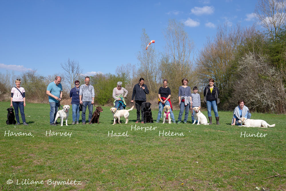 LCD-Wesenstest in Waldalgesheim 07.04.2019