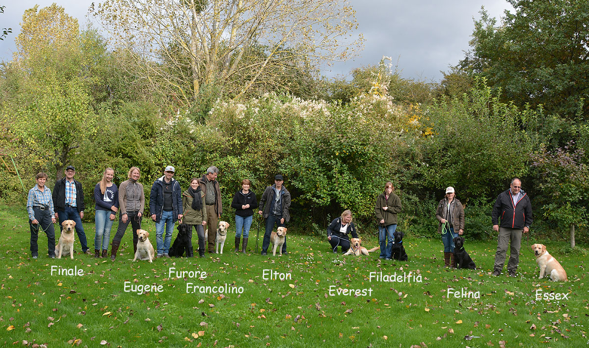 Wesenstest 08.10.2017