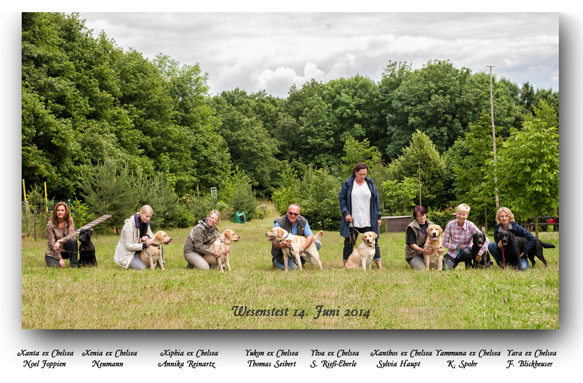 Wesenstest Karbach 14.06.2014