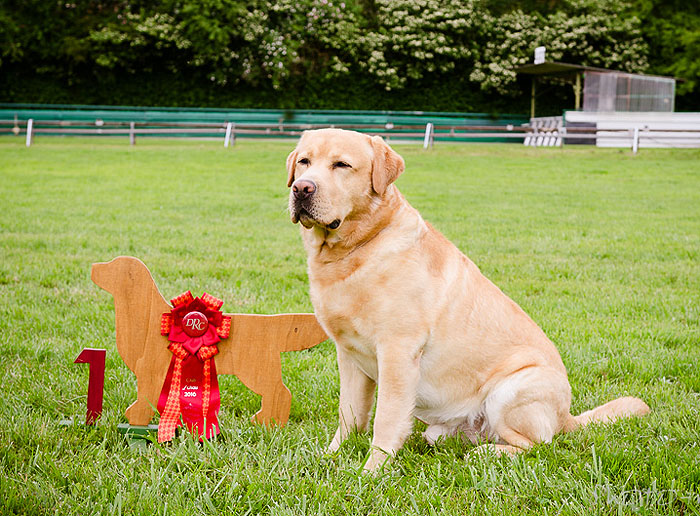 Xanthos ex Chelsea  29.05.2016