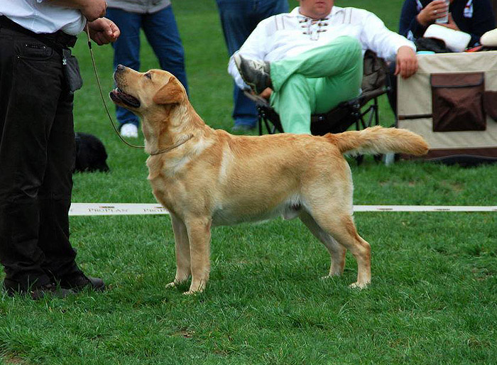 Xanthos ex Chelsea am 13.09.2015