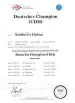 VDH-Champion