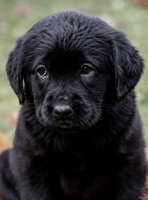 Z-ll-Wurf   -   29.11.2025