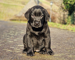 Zanzibar ex Chelsea  -  21.12.2025